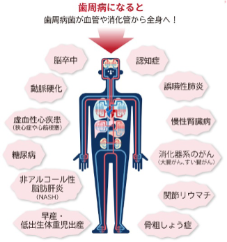 綾瀬亀有ロハス歯科＆矯正歯科の歯のクリーニング