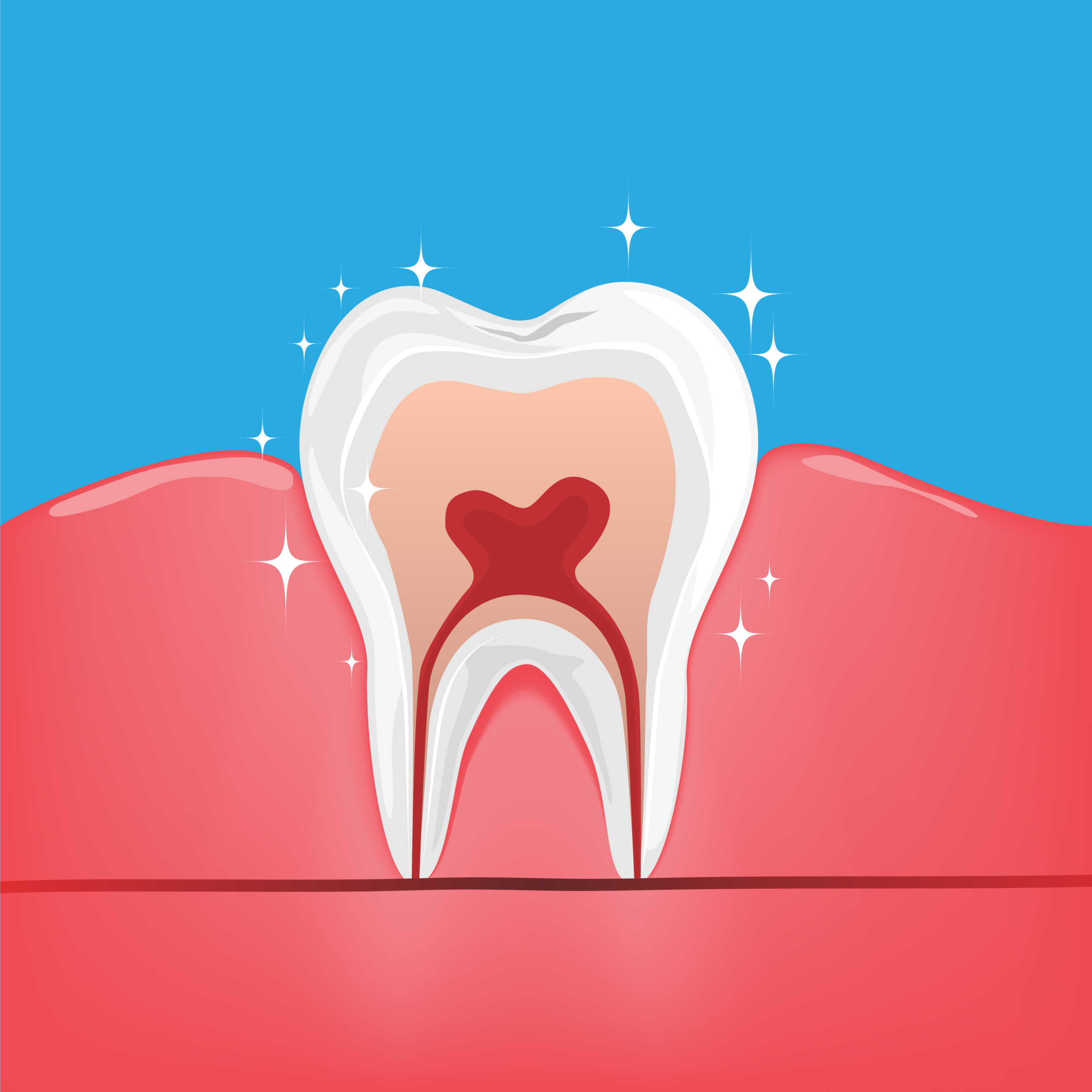 綾瀬亀有ロハス歯科＆矯正歯科の歯のクリーニング